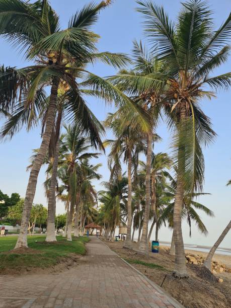 istock beautiful photos about beautiful place 1623665200