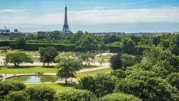 an expansive park with many trees and water features near a large eiffel tower