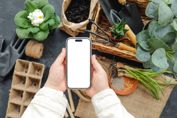 istock Phone with an isolated screen for your text on the background of garden tools 1623710121