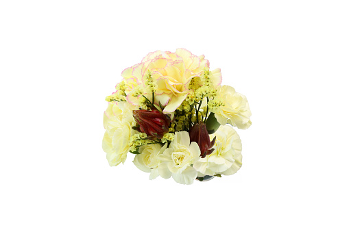 Bouquet of statice and carnation isolated on a white background.