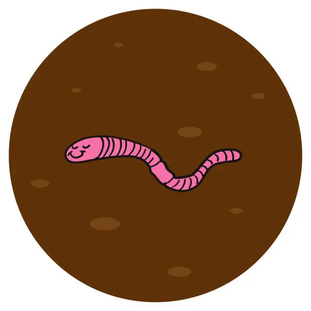 Vector illustration of Worm