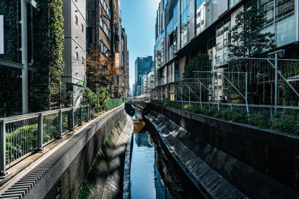 Stream flowing through concrete embankment in Tokyo