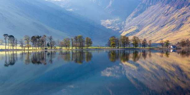 istock Buttermere Pines, Lake District, England 1623760883