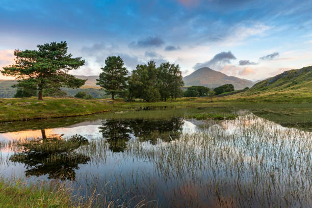 istock Kelly Hall Tarn, Lake District 1623761398