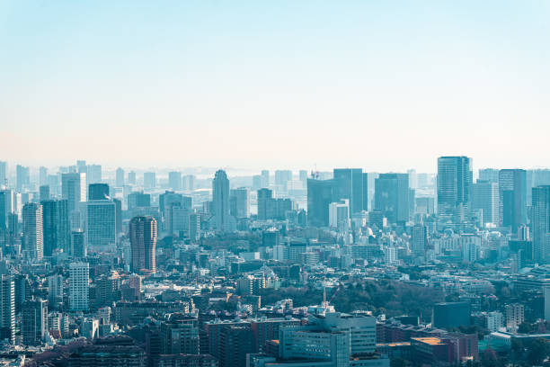 東京の新宿&渋谷エリアからの近代都市のスカイライン鳥瞰航空写真 - tokyo prefecture 写真 ストックフォトと画像