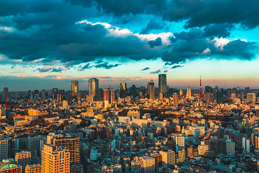 View of residential and business district in Tokyo, Japan