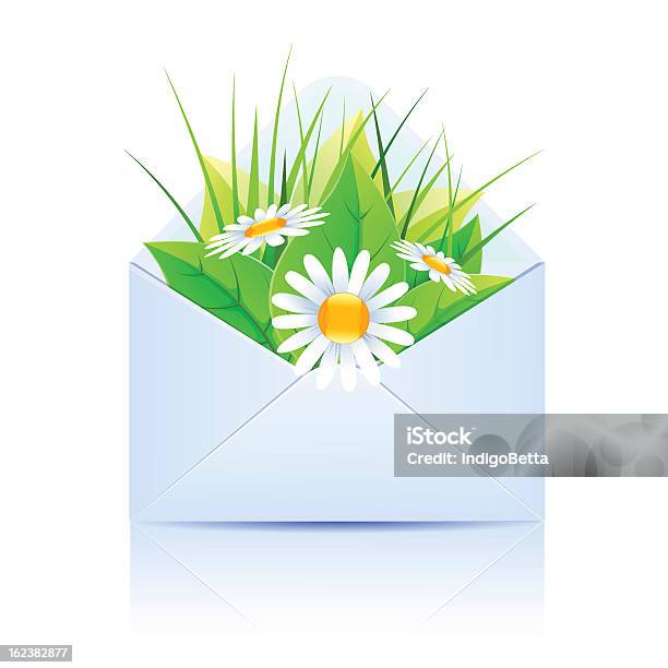 Strauß Gänseblümchen Und Pflanzen In Einem Offenen Briefumschlagblau Stock Vektor Art und mehr Bilder von Bekommen