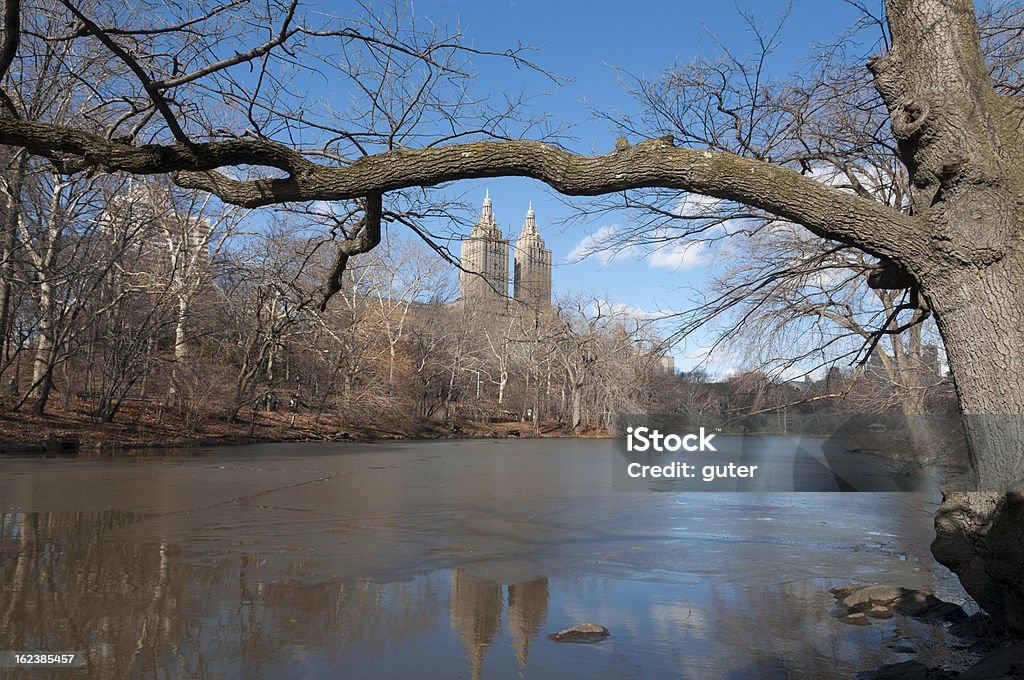 Central Park - Foto de stock de As Américas royalty-free