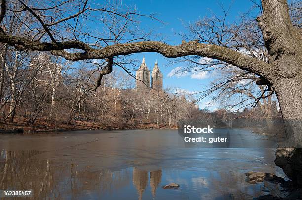 Foto de Central Park e mais fotos de stock de As Américas - As Américas, Bosque - Floresta, Central Park - Manhattan