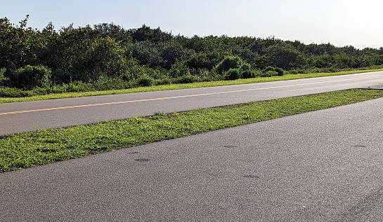 A snapshot of a highway that runs through Canaveral National Seashore in Florida.