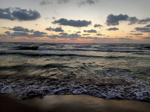 istock Whispers of the Sea 1623906044