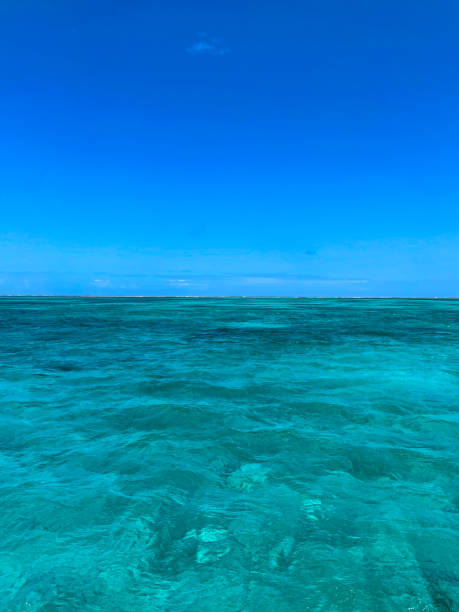 Blue Sky Over Turquoise Sea stock photo