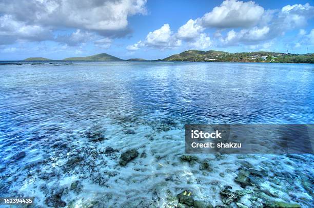 Photo libre de droit de Tropical Cove banque d'images et plus d'images libres de droit de Île de Culebra - Île de Culebra, Baie - Eau, Beauté de la nature