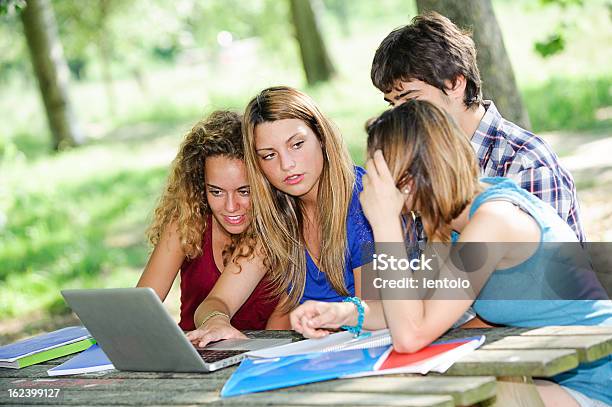 Group Of Young Student Using Laptop Outdooritaly Stock Photo - Download Image Now - Computer, Horizontal, Laptop