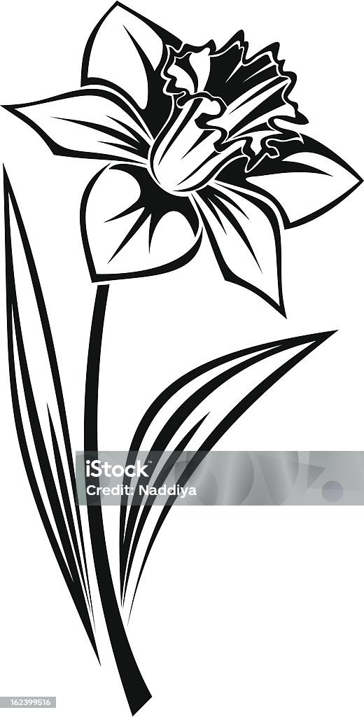 Czarna sylwetka z narcissus kwiat. Ilustracja wektorowa. - Grafika wektorowa royalty-free (Bez ludzi)