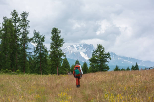 Traveling man in red with big backpack on way to snowy mountain range in low clouds. Backpacker walks through forest to large mountains under cloudy sky. Dramatic landscape with tourist in mountains.