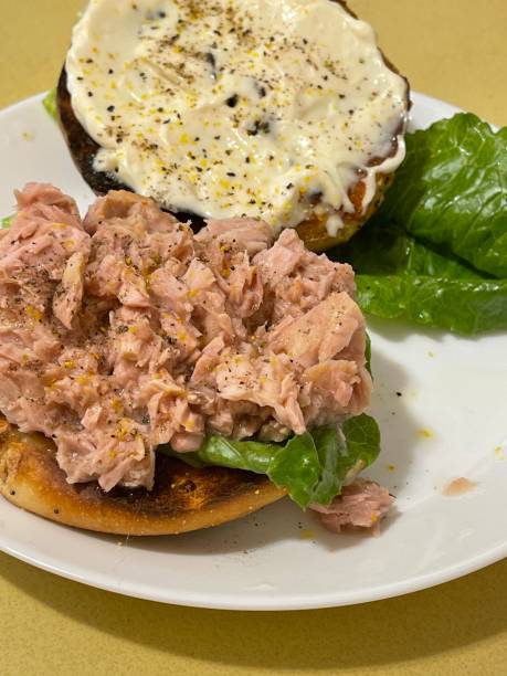tonno su bagel tostato - tuna tuna salad bagel sandwich foto e immagini stock