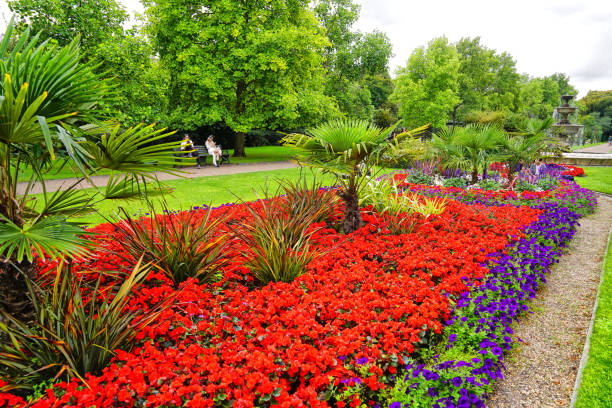 verão em avenue gardens, regent's park e primrose hill, londres, reino unido - marylebone - fotografias e filmes do acervo