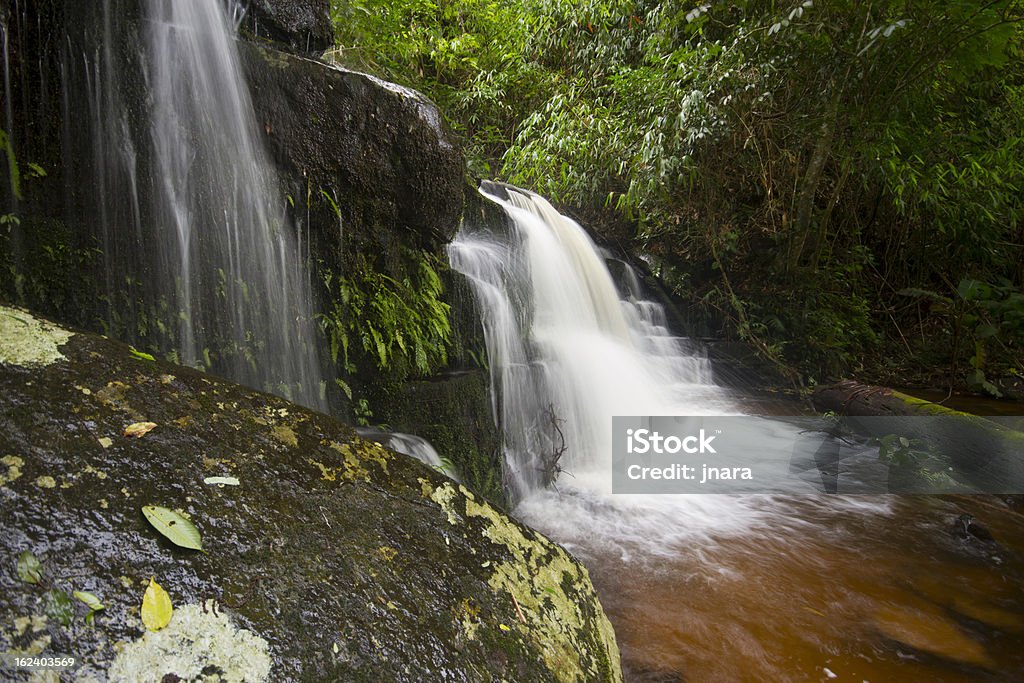 Cascata nella giungla profonda Foresta pluviale - Foto stock royalty-free di Albero