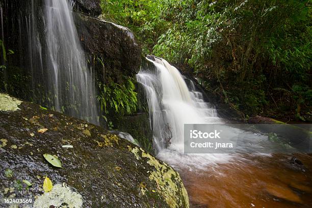 Cascata Nella Giungla Profonda Foresta Pluviale - Fotografie stock e altre immagini di Albero - Albero, Bagnato, Cascata