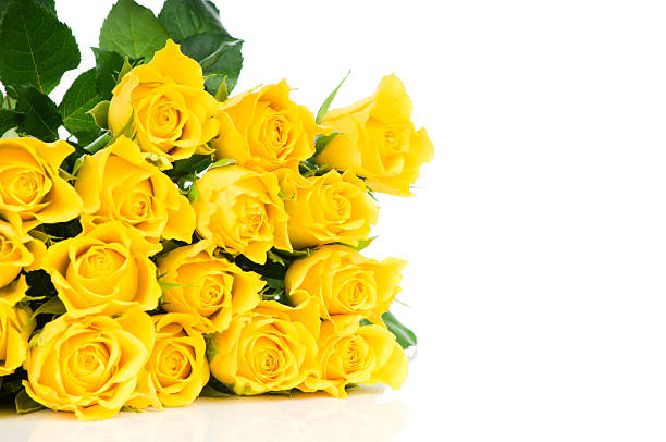 istock Bunch of yellow roses 162404150