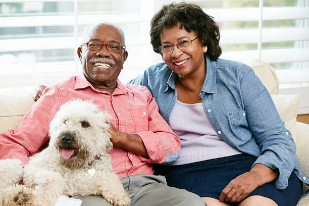Photo of Happy Senior Couple Sitting On Sofa With Dog