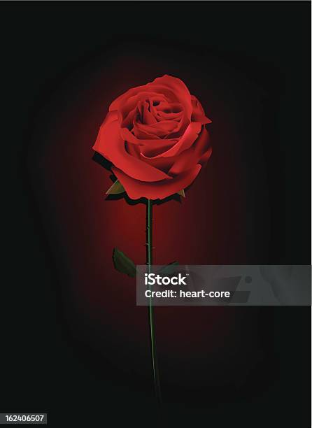 Red Rose In The Dark Stock Illustration - Download Image Now - Single Rose, Dark, Plant Stem