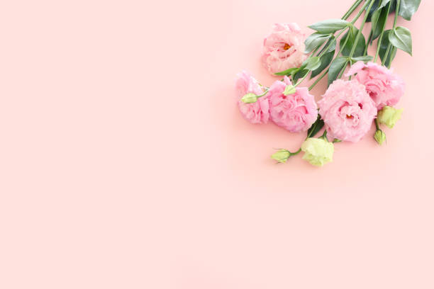 istock Top view image of delicate pink flowers over pastel background 1624096601