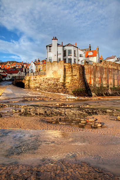 robin cappucci bay - robin hoods bay foto e immagini stock