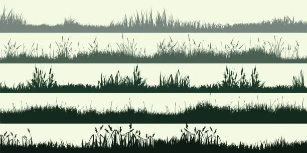 Vector illustration of Meadow silhouettes with grass, plants on plain. Panoramic summer lawn landscape with herbs, various weeds. Herbal border, frame element. Green horizontal banners. Vector illustration