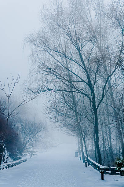 istock Foggy street 162415499