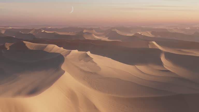 Dawn in the desert.