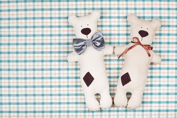 istock Pair of toy bears on checkered textile background 162417829