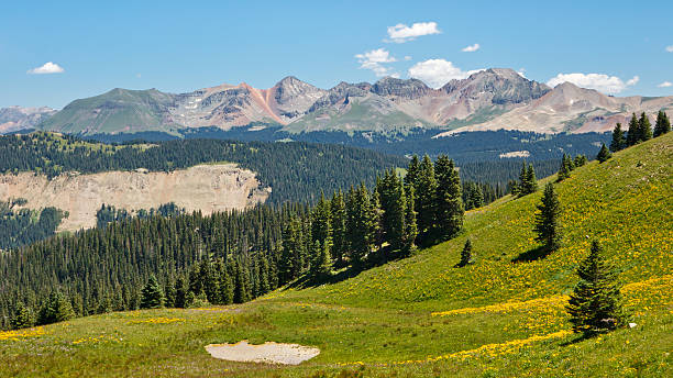 istock Alpine Panorama along the Colorado Trail 162419823