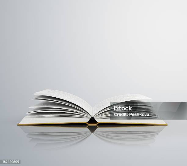 Open Book Stock Photo - Download Image Now - Book, Opening, Open