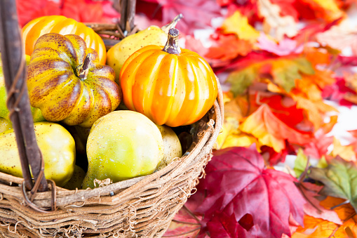 Brown basket filled with assortment of small pumpkins on front porch.