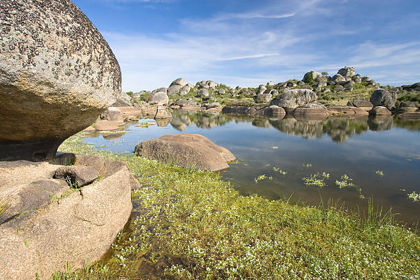 lago de los barruecos, malpartida de cáceres - caceres fotografías e imágenes de stock