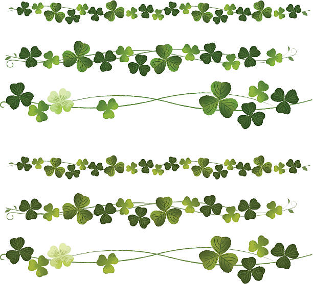 ilustrações, clipart, desenhos animados e ícones de divisórias clovers - st patricks day clover four leaf clover irish culture