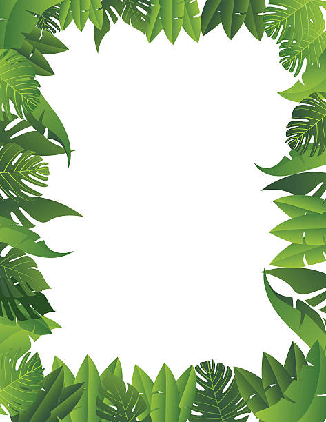 tropical leaf background vector art illustration