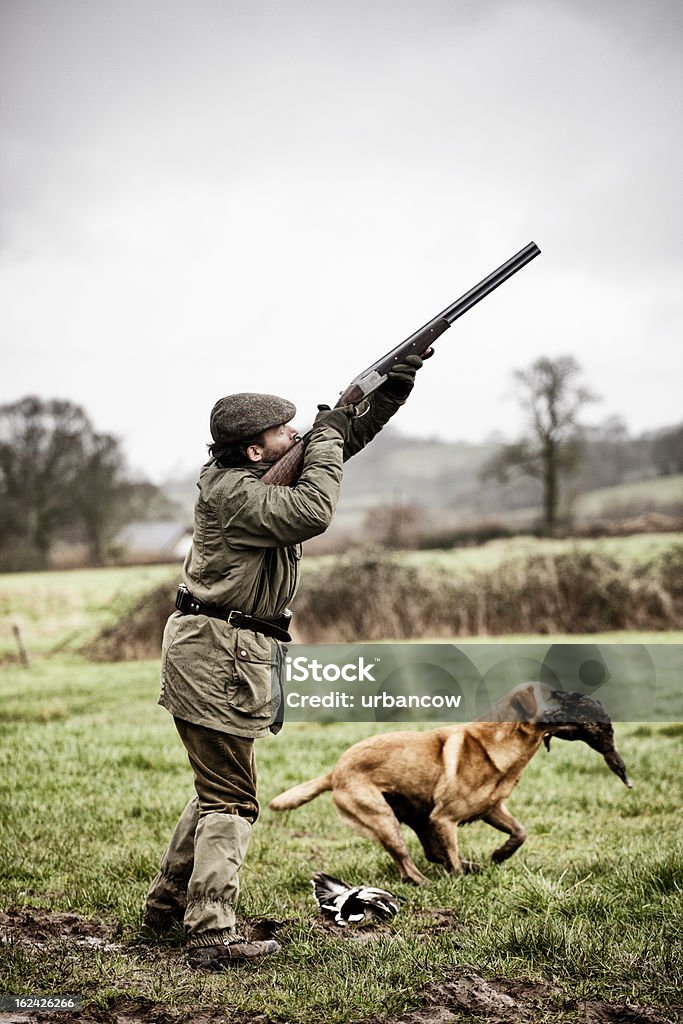 Shooting anatra, gundog Recupera - Foto stock royalty-free di Caccia - Sport con animali
