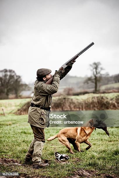 Shooting Anatra Gundog Recupera - Fotografie stock e altre immagini di Caccia - Sport con animali - Caccia - Sport con animali, Cacciatore, Sparare