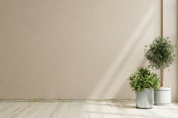 istock Mockup cream color wall empty room with plants on a floor. 1624309016
