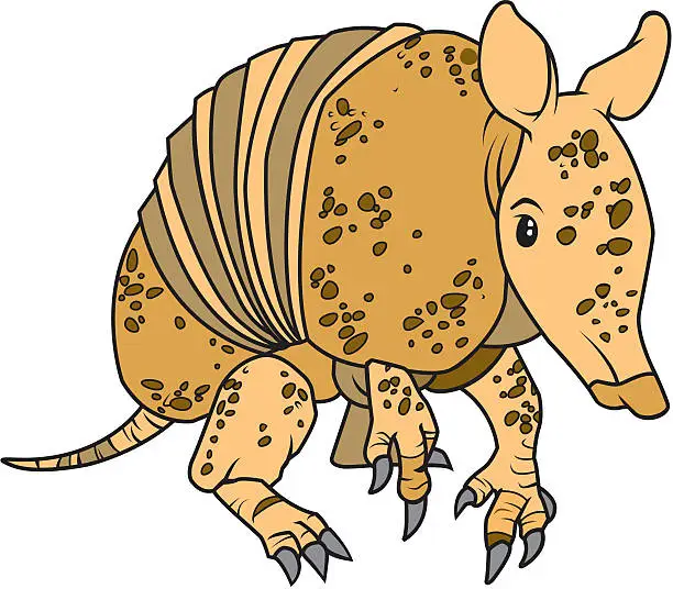 Vector illustration of Armadillo