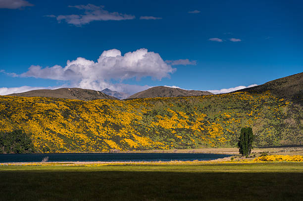 Beautiful landscape mountains and lake, New Zealand stock photo