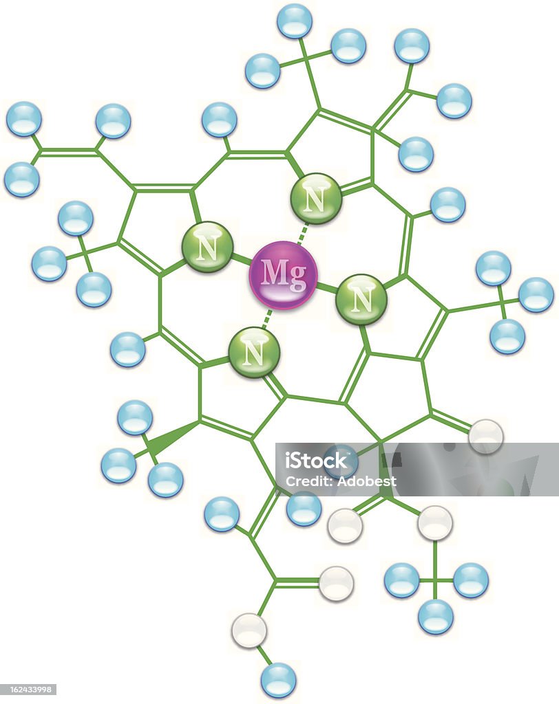 クロロフィル式 I - 葉緑素のロイヤリティフリーベクトルアート