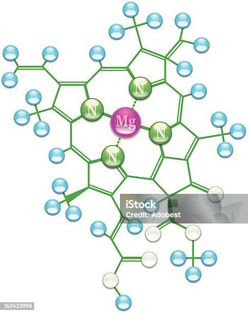 クロロフィル式 I - 葉緑素のベクターアート素材や画像を多数ご用意 - 葉緑素, マグネシウム, 化学式