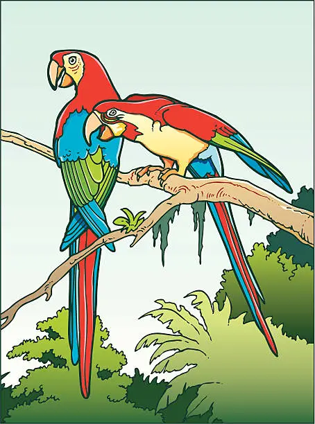 Vector illustration of Parrot