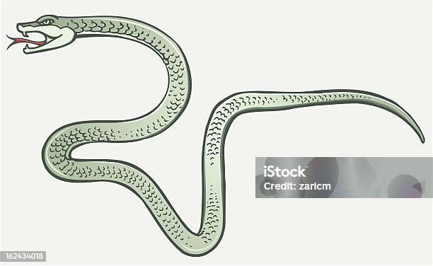 Snake Stock Vektor Art und mehr Bilder von Maul - Maul, Schlange - Kriechtier, Aufstand