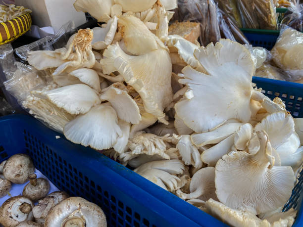 istock oyster mushrooms at the vegetable stall 1624367723