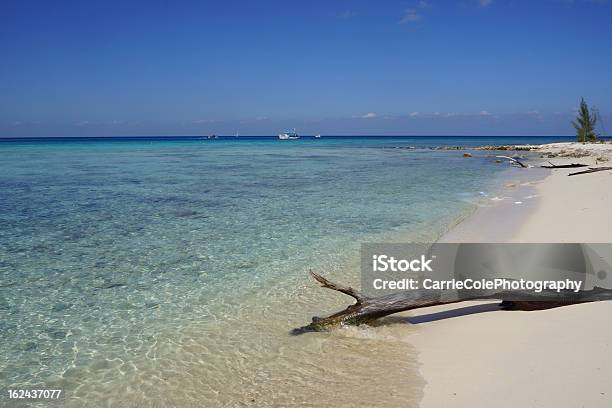 Spiaggia Tropicale Di Sabbia Bianca E Legname Trasportato Dalla Corrente - Fotografie stock e altre immagini di Ambientazione esterna